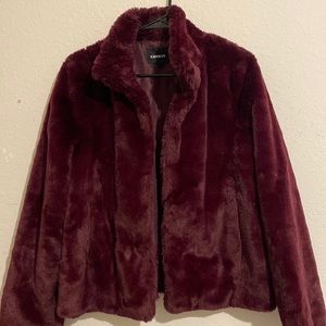 Express new with Tag jacket purple M